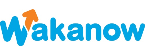 Wakanow appoints Adenike Macaulay as Chief Executive Officer